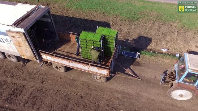 Выращивание рассадного лука из кассет смотреть онлайн