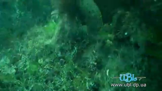 Стендовые стрельбы из Mares Сyrano 970 смотреть онлайн