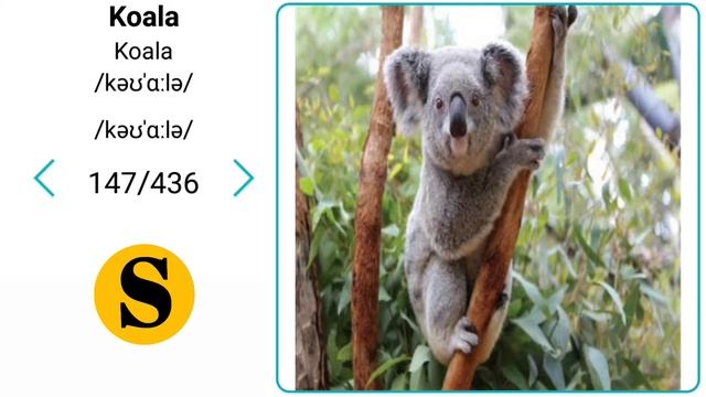Animal Words - Animal names in English #2 смотреть онлайн