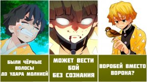 15 интересных фактов Зеницу Агацума