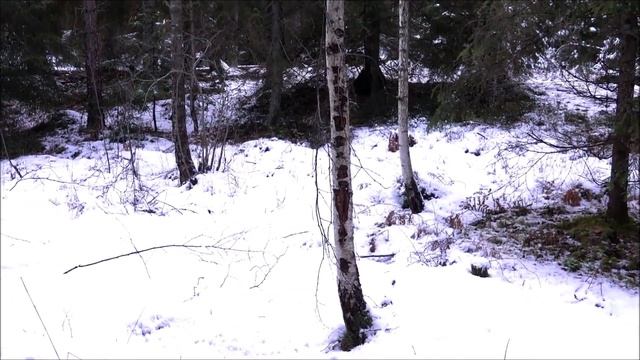 ZU BLADEWORX - WARMONGER MK. II - FULL REVIEW смотреть онлайн