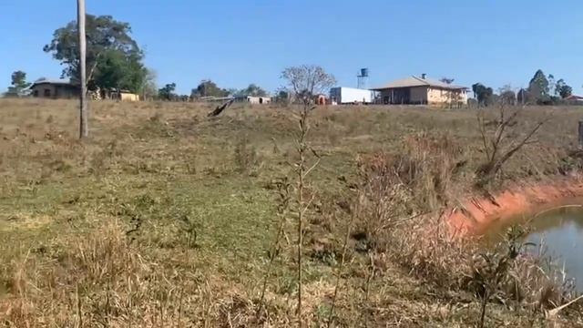 Манго будет? Контейнер и Отпуск.#vlog #paraguay