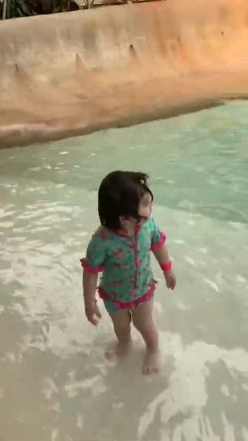 Swimming Pool And Fountain Gate