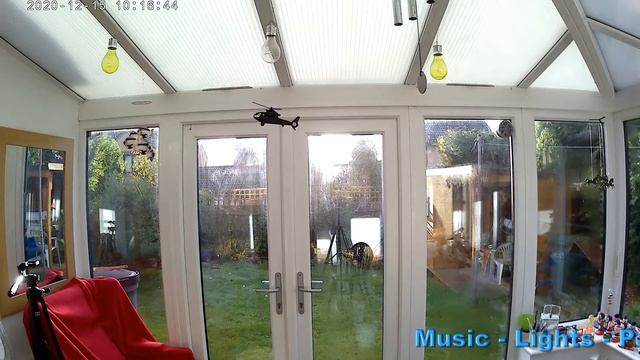 Low sunshine in the conservatory 🎵🎶🌞😎☀🌤 смотреть онлайн