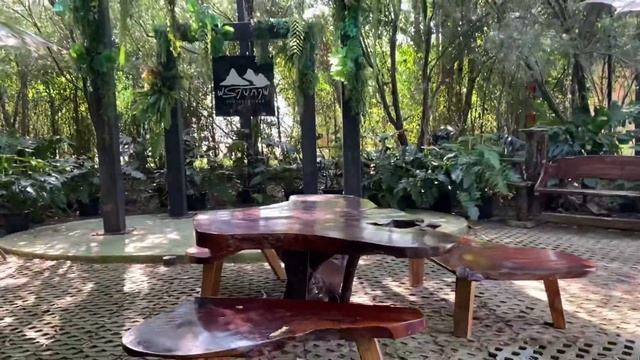 พาเที่ยว คาเฟ่ร้อยโซน Neo farm | Cotton Ontour смотреть онлайн