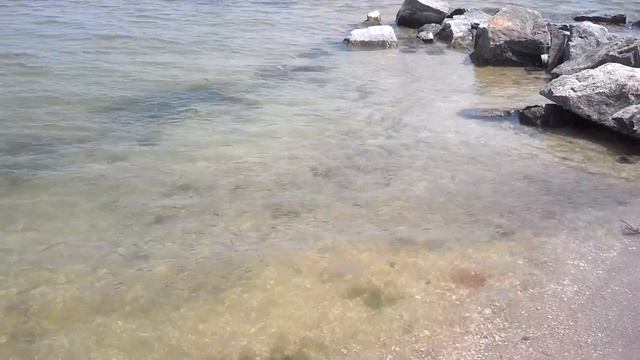 Море, Бердянская коса смотреть онлайн