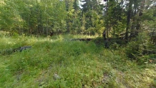 Подготовка к охотничьему сезону Расчистка карманов (съездов) для машины. Беспокойство за жизнь соба смотреть онлайн