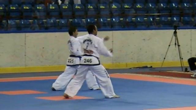 2010 ITF World TaekwonDo Championships, Belarus, V Degree Tul (Veteran Silver Class) смотреть онлайн