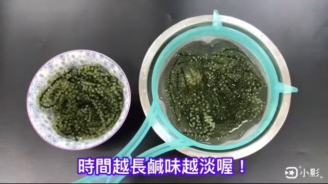 海中珍寶魚子醬: 生鮮海葡萄 смотреть онлайн