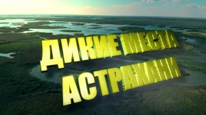 Дикие места Астрахани. ХЕ из САЗАНА. Рыбалка в Астрахани весной 2025