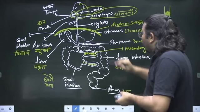 Digestive System | पाचन तंत्र | UPSC CSE 2023/24 | Madhukar Kotawe | Let's Crack UPSC CSE Hindi смотреть онлайн
