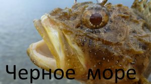 Черное море