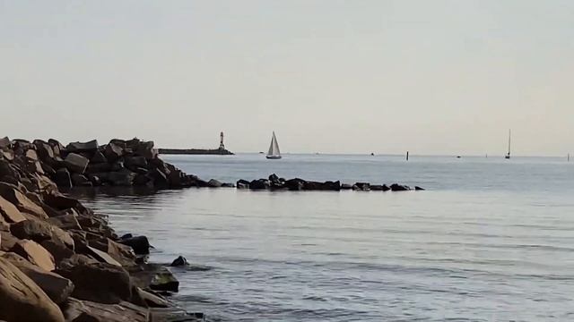 Sea Of Love • Halmstad • Sweden 🇸🇪