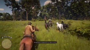 Red Dead Redemption 2 - «Конина на ужин» Как пройти на золото