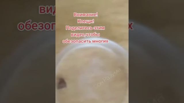 Супер средство от клещей 🤝🙏