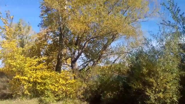 Урал в сентябре смотреть онлайн