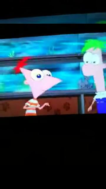 Baby Perry The Platypus