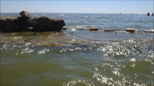 Лето это. Поют Отпетые Мошенники.