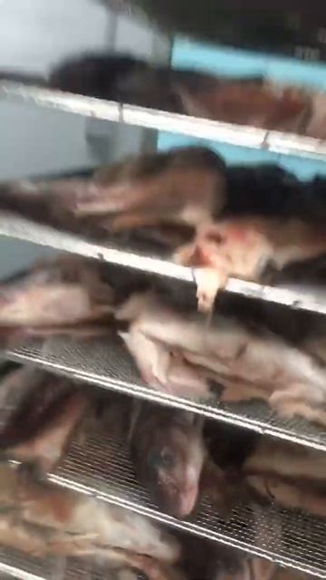 2021 Cold Air Seafood Shrimps Squid Sea Cucumber Octopus Fish Drying Dryer Machine