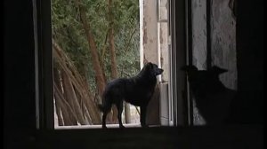 Интернат ~ Преданы и забыты