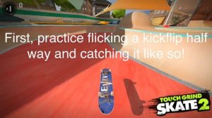 How To Do A Casper Flip In TouchGrind Skate 2