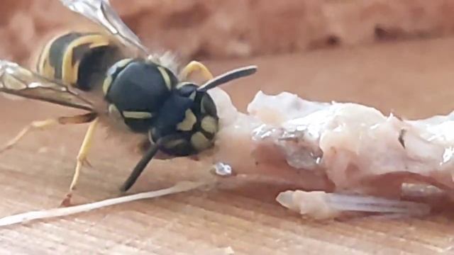 11 августа 2023 г. смотреть онлайн