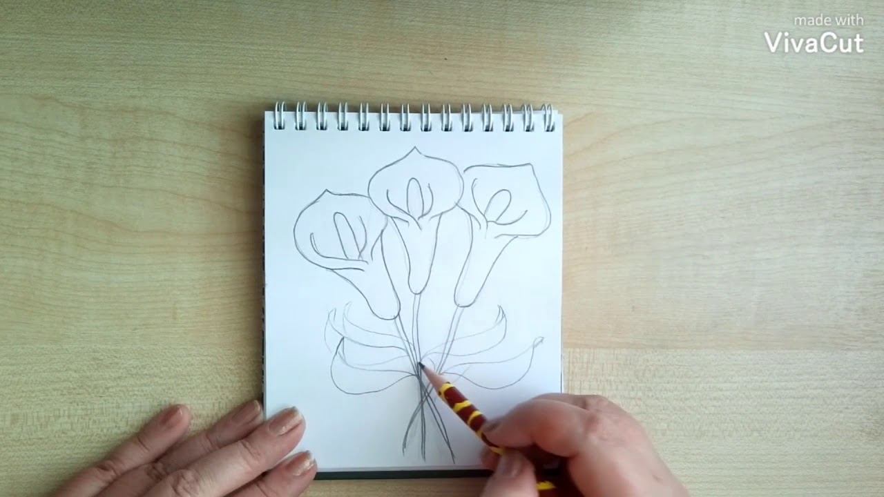 14 Лилия карандашом смотреть онлайн