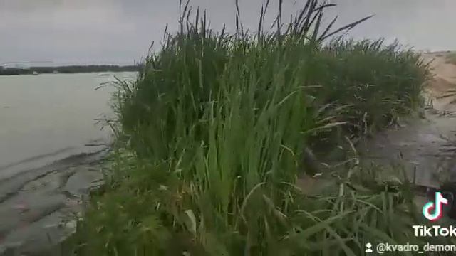 Я могу вот так вот. Квадроцикл квадропокатушки болото грязь вброд смотреть онлайн