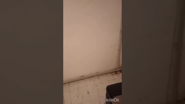 Саматёчная система отопления частный дом смотреть онлайн