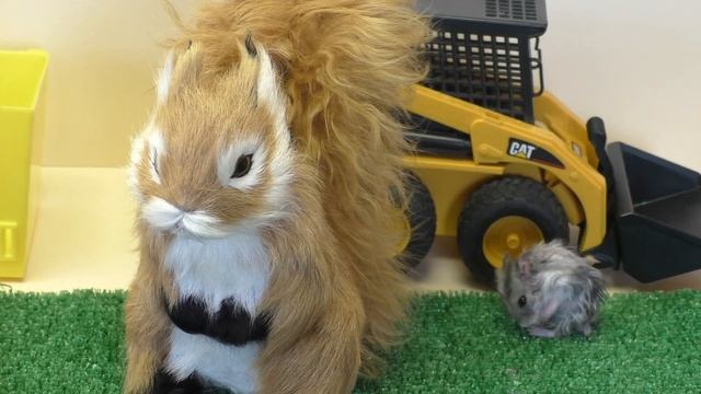 Приключения ХОМЯКА Пушистика) Распаковка Киндерино! Unpacking of Kinderino смотреть онлайн