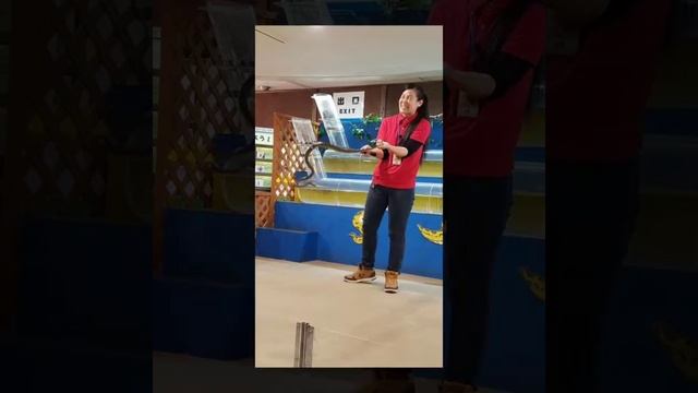 Habu Center смотреть онлайн