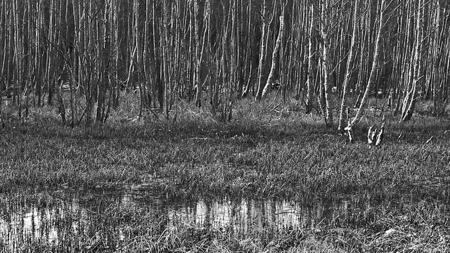 15 смотреть онлайн