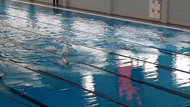 Кашалот спина 50м смотреть онлайн