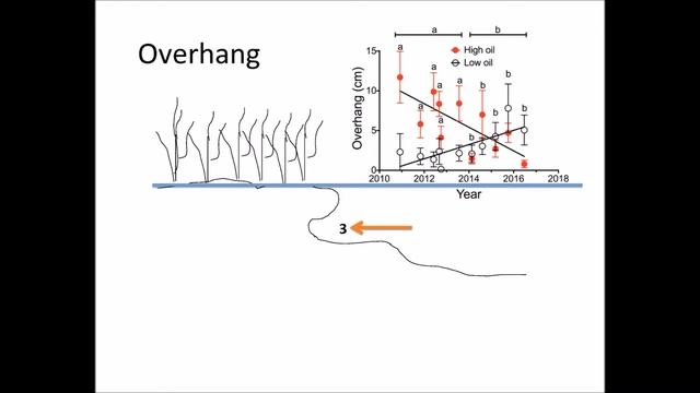 Exploring the intersection between oil spill science and response, Turner смотреть онлайн