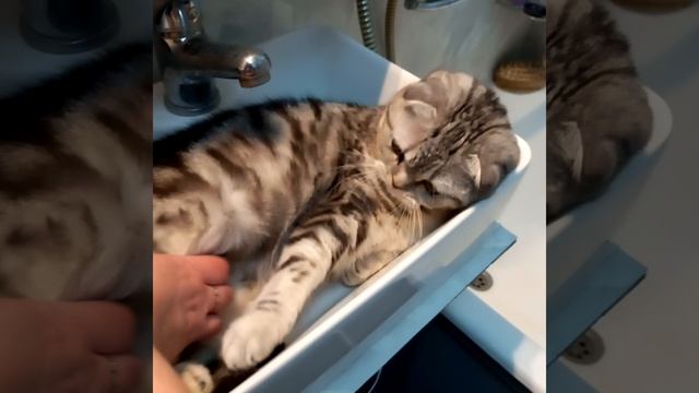 Новая спальня Биатрисы😻