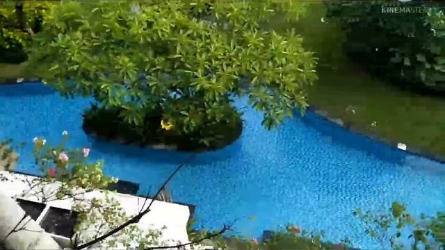 melia Bali Hotel (family sweet room) & swimming pool смотреть онлайн
