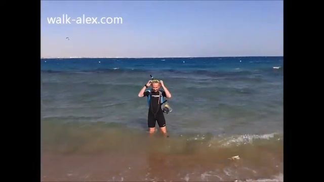 red sea смотреть онлайн