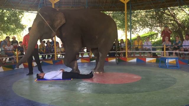 Экскурсия на остров Ня Фу Шоу Слона смотреть онлайн