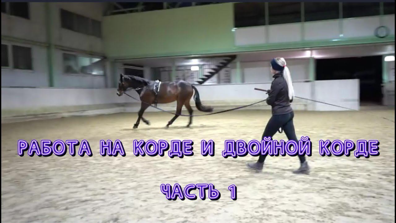 Часть 1. Работа с лошадью на корде и двойной корде (doppellonge), длинные вожжи. смотреть онлайн