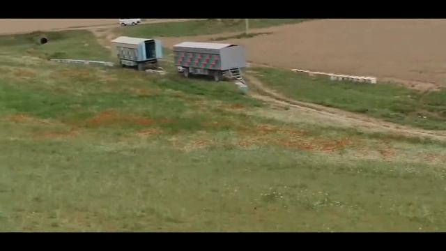 Asalarilar Jizzaxda Lolazorlar qo'ynida. Пчёлы Жиззахском области среди советов смотреть онлайн