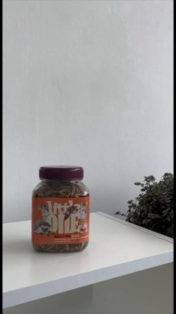 Покупки из зоомагазина 💗￼ смотреть онлайн