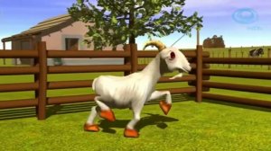 цыпленок пио