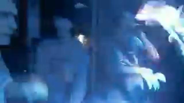 STILS , Trulevel Xander , Инфоу (25FLAVA)