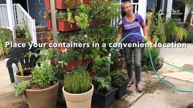 How to plant raspberry and blackberry bushes from Bushel & Berry смотреть онлайн