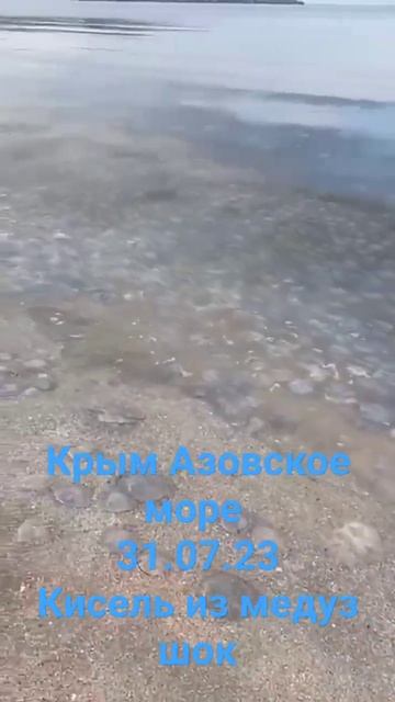 Крым Азовское море наплыв медуз просто ужас 31.07.23 смотреть онлайн