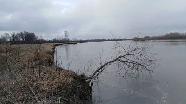 ШОК! Оползни на берегах Чумыша! /Landslides on the banks of Chumysh river!