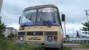 2  игрушечных  ПАЗика на фоне настоящего ПАЗика