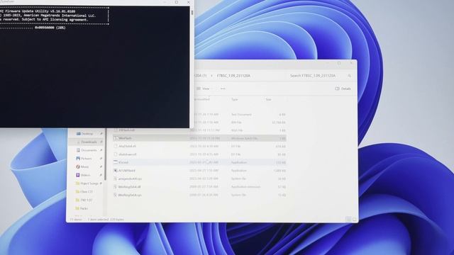 Bios Update Minisforum 790