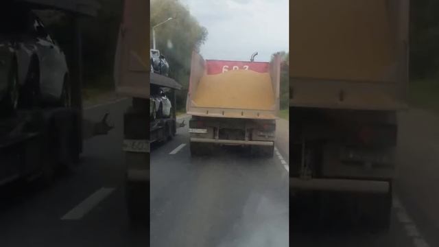 Перевозят зерно в России смотреть онлайн