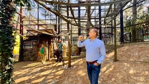 Олег Зубков презентует НОВЫЙ ВОЛЬЕР для шимпанзе в зоопарке «Сказка», это надо видеть!!! смотреть онлайн